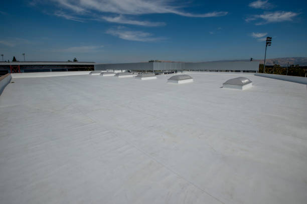 Best Gutter Installation and Repair  in Trion, GA