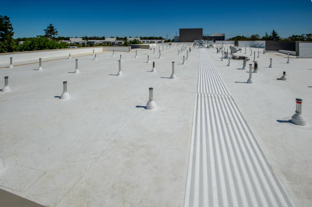Best Solar Panel Roofing Installation  in Trion, GA